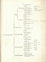 RALLIS OF SCIO 1896 25
